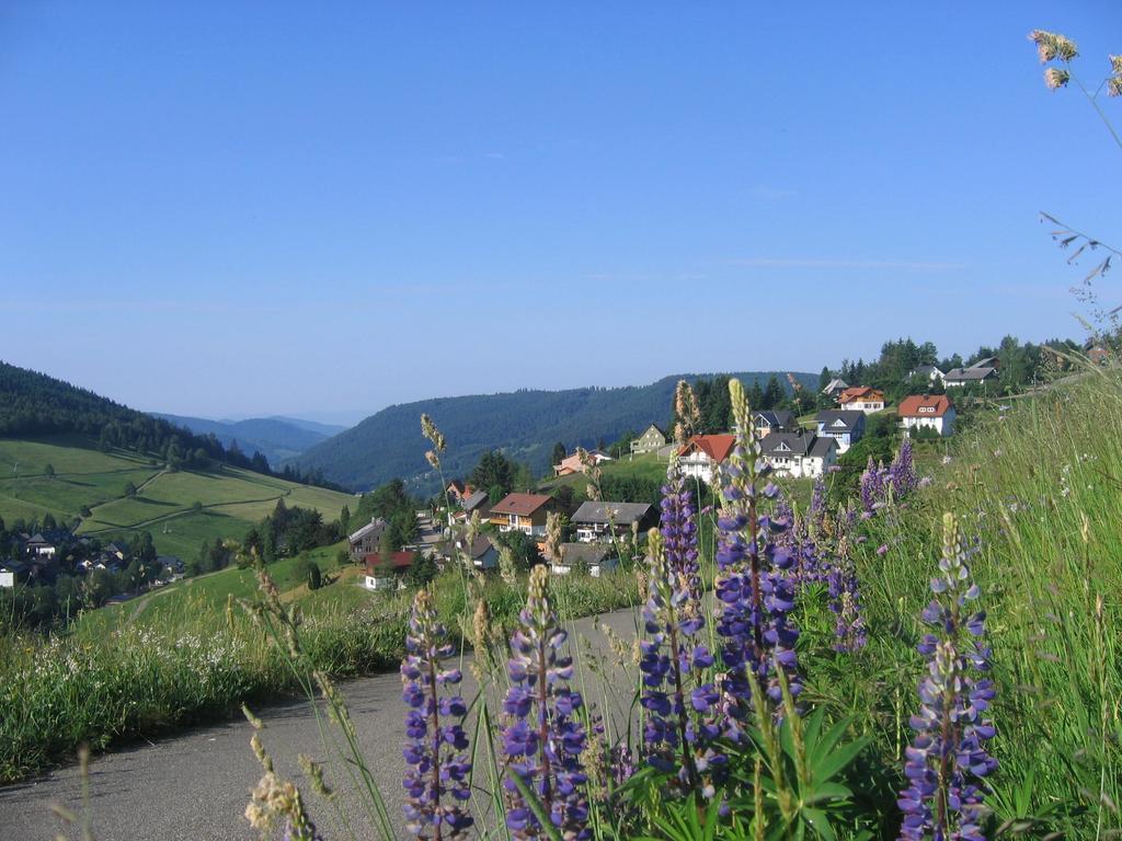 Haus Keller Ferienwohnungen Todtnauberg Exteriör bild