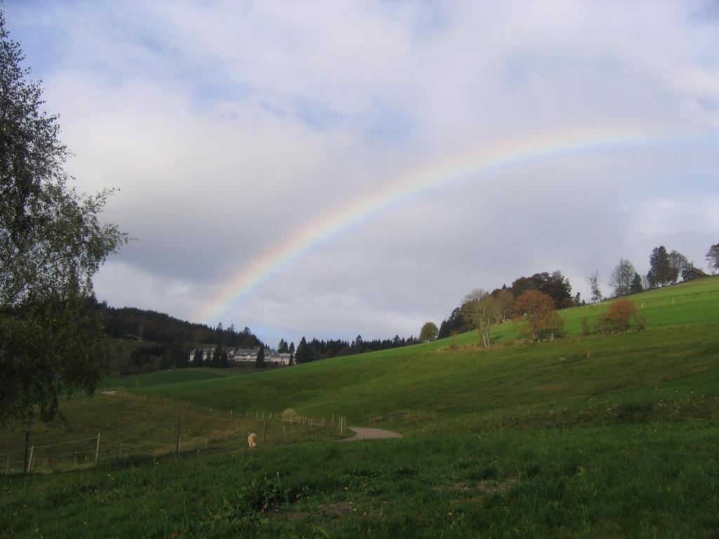 Haus Keller Ferienwohnungen Todtnauberg Exteriör bild