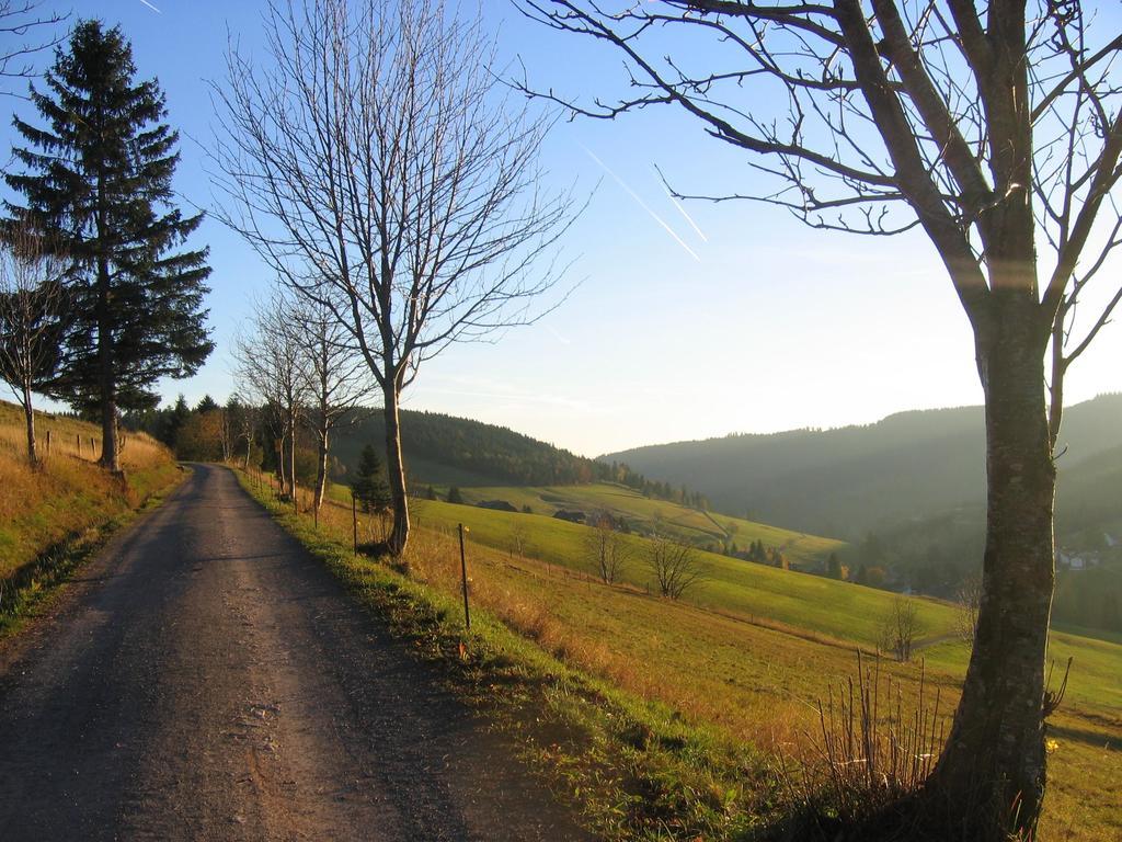 Haus Keller Ferienwohnungen Todtnauberg Exteriör bild