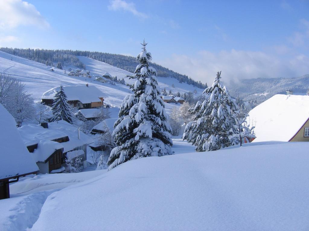 Haus Keller Ferienwohnungen Todtnauberg Exteriör bild